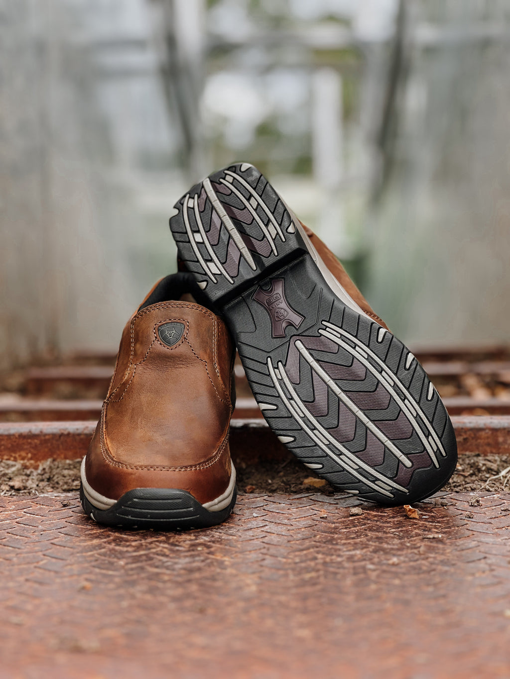 Ariat Ralley Shoe 10002166