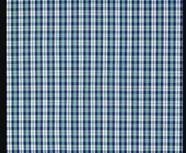 Just Country Men's Austin Full Button Check Workshirt - MWLS2531