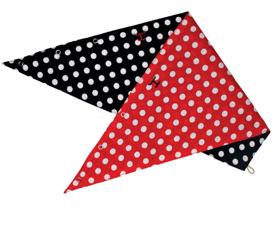 Just Country Women's Carlee Double Sided Scarf - Black Polka Dot/Red Polka Dot - SCF2558