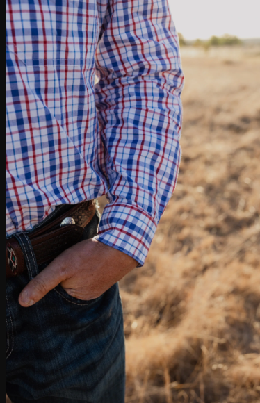 Black Colt Mens Full Button Long Sleeve Shirt - Blue & Red Check