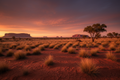 Terracotta Outback Gift Card